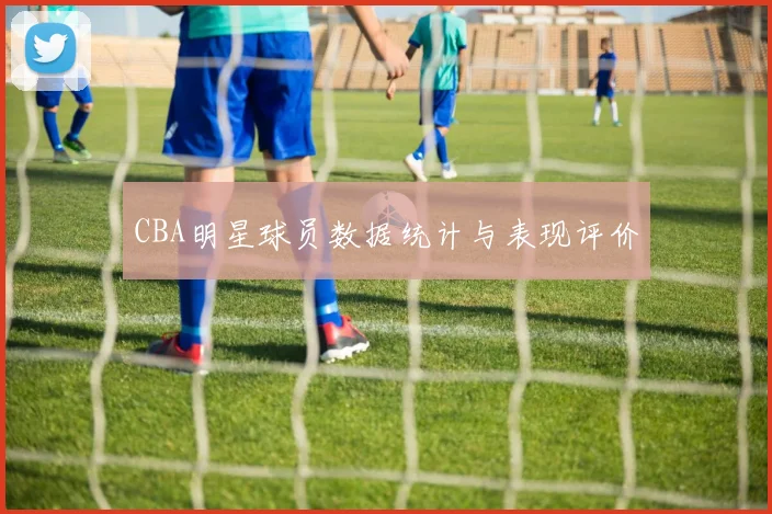 CBA明星球员数据统计与表现评价